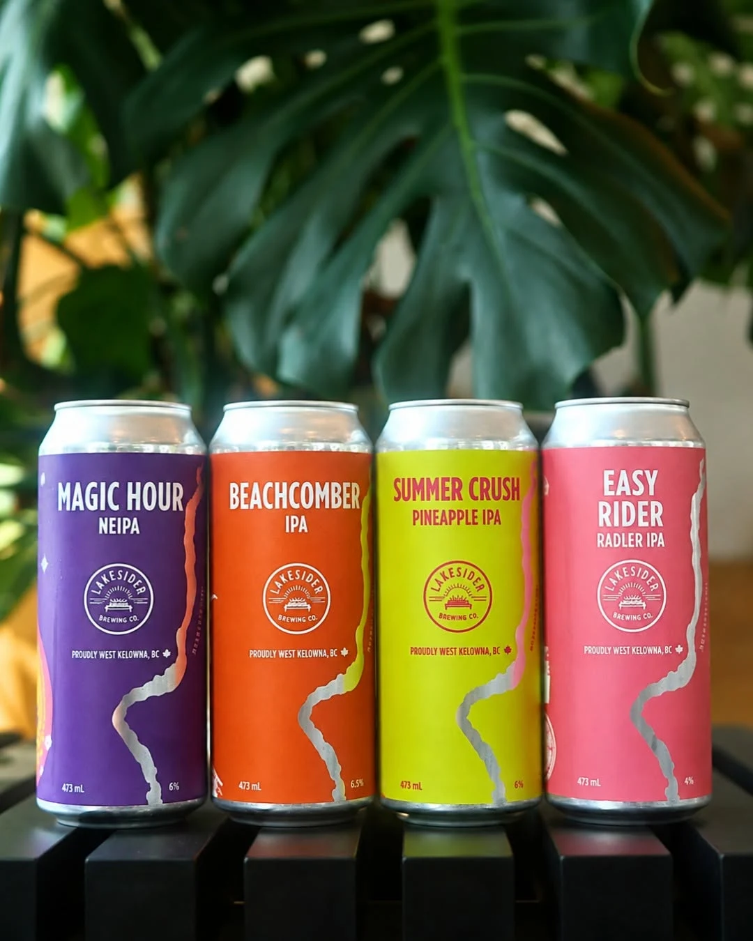 Craft beer collection