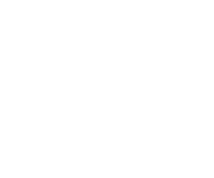 Shiseido identity work