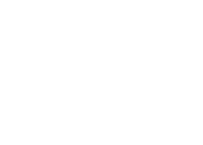 The Lizard FM identity work